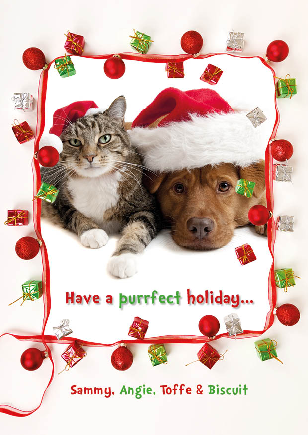 Purrfect Christmas